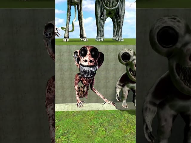 ALL ZOONOMALY MONSTERS FAMILY 2D VS 3D SPARTAN KICKING BIG HOLE in Garry's Mod !