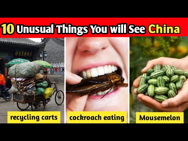 10 Seriously Weird Things That Actually Exist In China