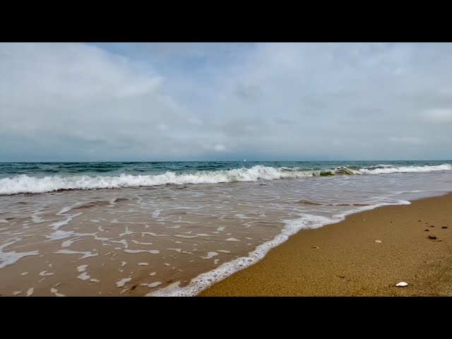 Calming Sea Sounds On The Belgian Coast - Background Videos - Beach Ambiance