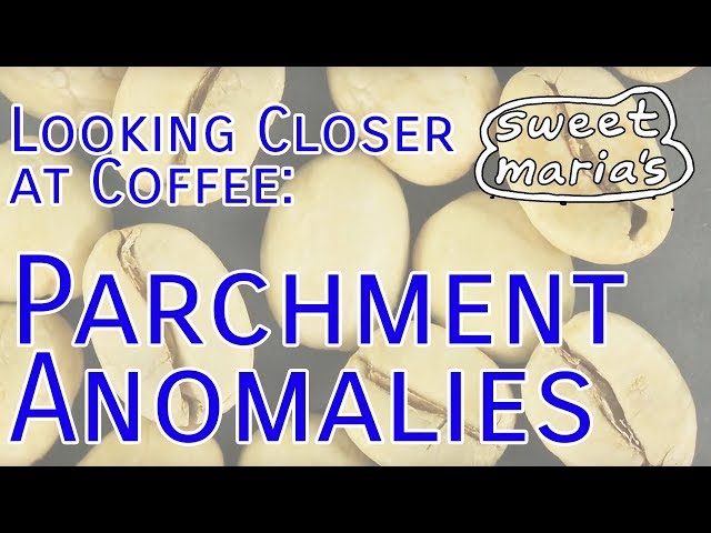Looking Closer at Coffee: Parchment & Anomalies