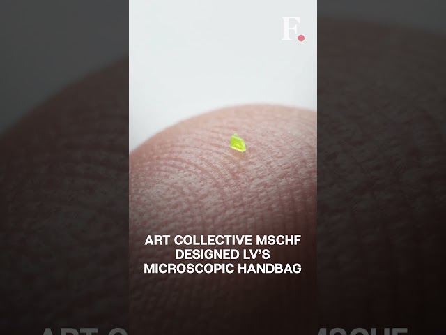 A Microscopic Louis Vuitton? Art Collective MSCHF Creates Bag “Smaller Than Grain Of Salt”