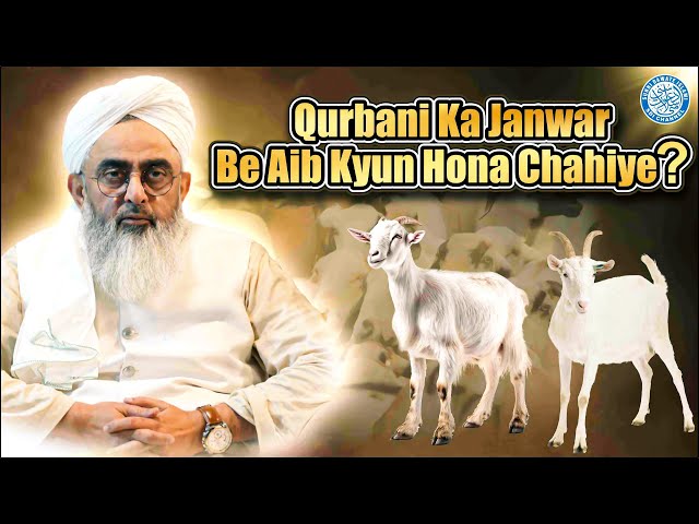 क़ुरबानी से पहले ज़रूर देखें  | Qurbani Ka Janwar Be Aib Kyun Hona Chahiye | Maulana Shakir Noorie
