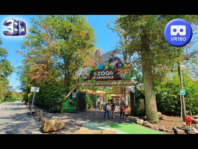 Zoo Amneville part1 VR180 3D 20 Aout 2023