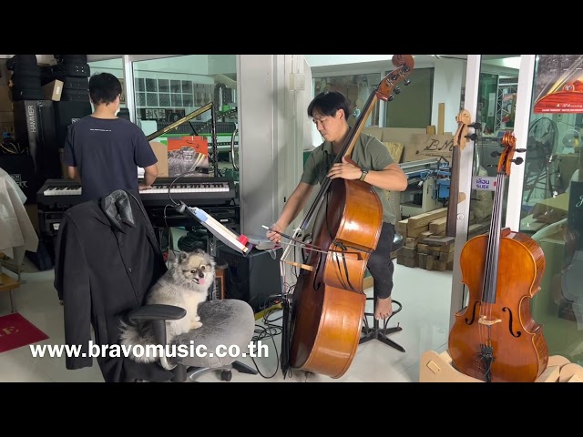 Solo Double Bass by Nakorn Kitiudom "The midnight sun will never set"  by Quincy Jones