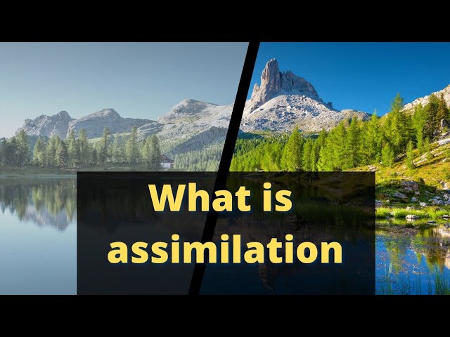 assimilation meaning #shorts #assimilation #food