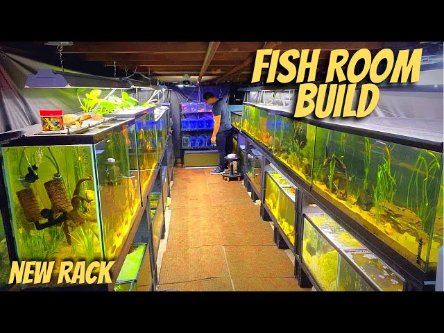 DIY FISH ROOM BUILD | PART #8