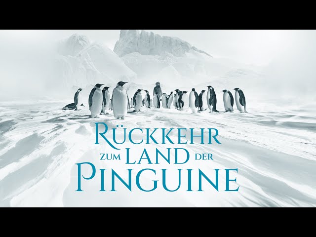 RÜCKKEHR ZUM LAND DER PINGUINE l OmU-Trailer