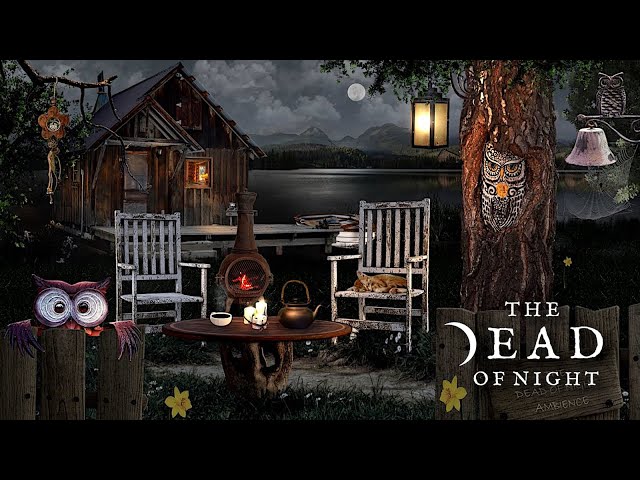 The Owl Cabin🦉🌼🔥  | Cozy Spring Evening by the Lake Ambience | Crackling Fire & Lapping Water Sounds