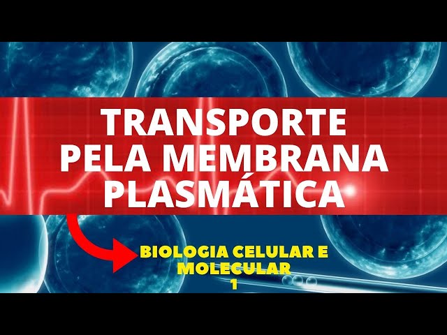 TRANSPORTE PELA MEMBRANA PLASMÁTICA - BIOLOGIA CELULAR E MOLECULAR - AULA 1