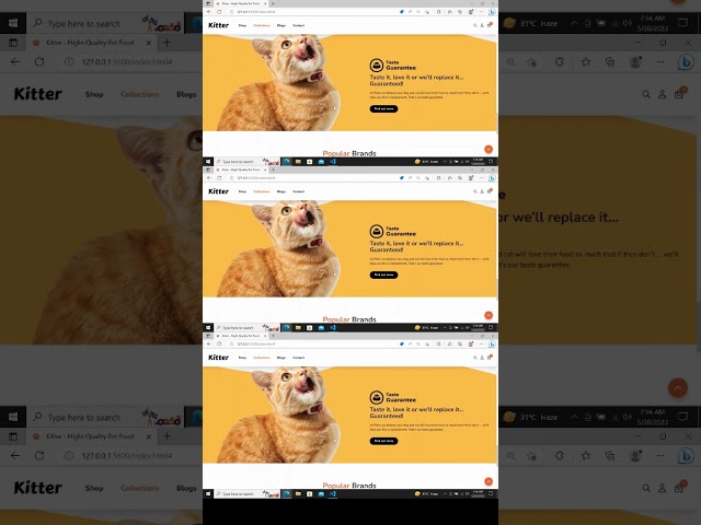 Responsive Petshop eCommerce Website Using HTML CSS JavaScript #shorts