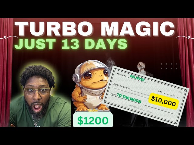 $1200 to $10,000 in 13 Days