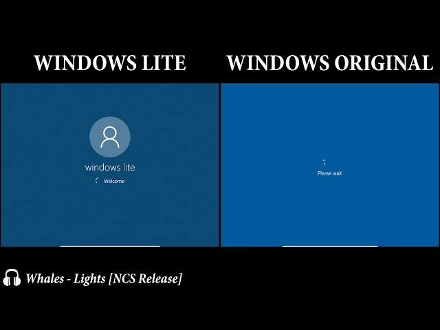 Windows 10 lite vs original 2021