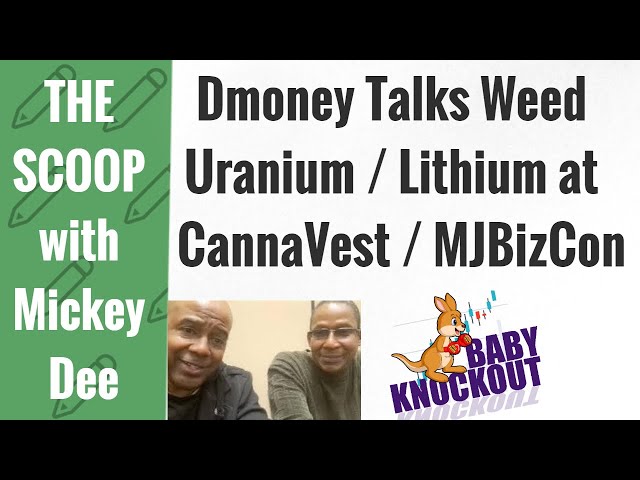 Dmoney Has Strong Thoughts on Weed / Uranium & Lithium Baby Knockouts / CannaVest / MJBizCon