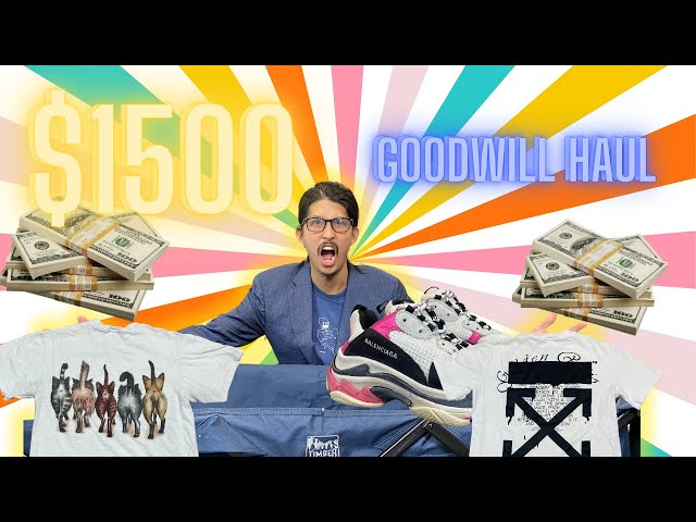 $1500 Spent At The Goodwill Bins | INSANE HAUL