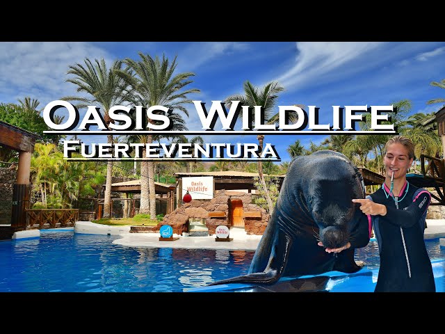Oasis Wildlife Fuerteventura 🐍🦜, cestovní průvodce, nejlepší místa, která musíte vidět sTRAVEL PHOTO