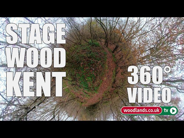 Stage Wood, Kent - 360° video