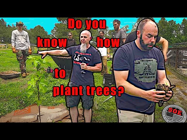 HOW TO PLANT TREES // HOMESTEAD APPRENTICE
