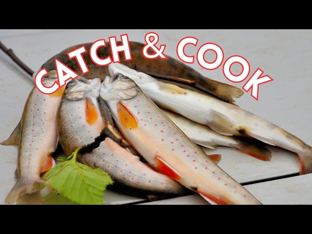 Catch and Cook Fish in the Air Fryer