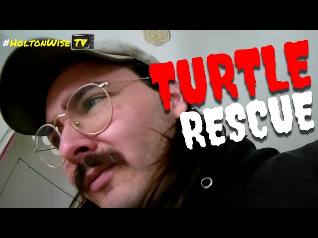 Turtle Rescue Eviction in Garfield Heights | Tenants From Hell 255