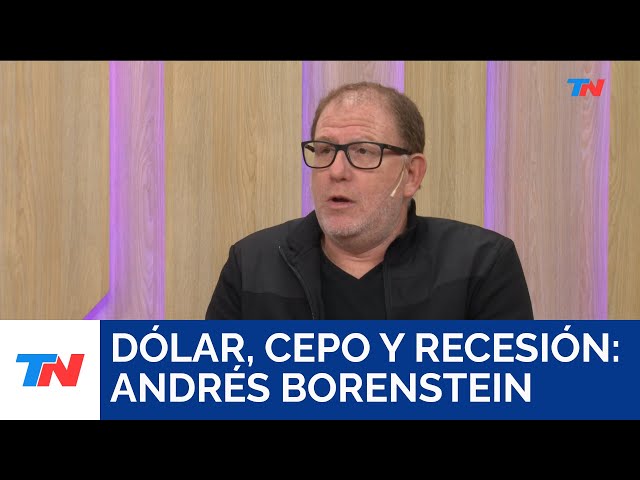 Dólar, cepo y recesión: Los pedidos del FMI I Andrés Borenstein, Economista