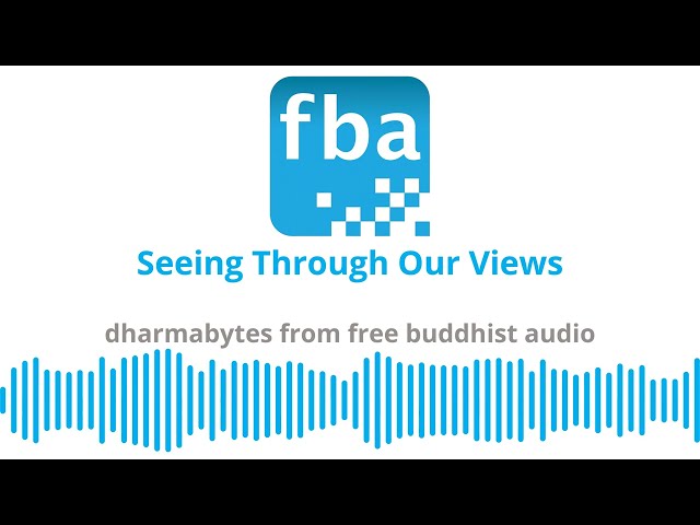 Seeing Through Our Views [Dharmabytes Podcast Episode]