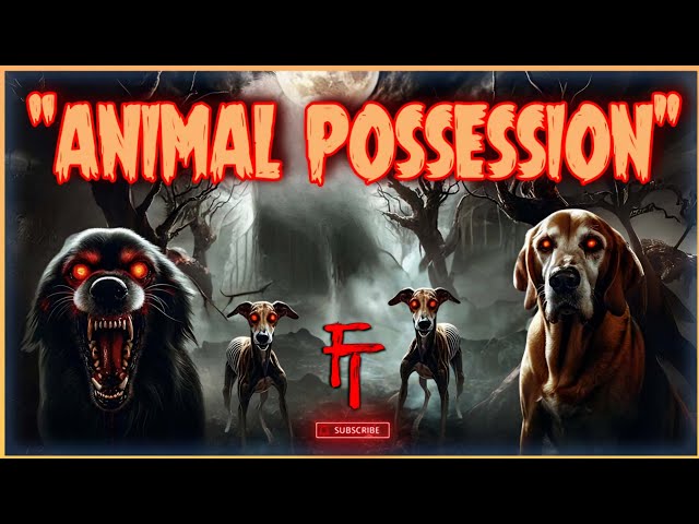 Animal Possession + Demonic Infestation + Animal Exorcism + Supernatural Entities + Unusual Behavior
