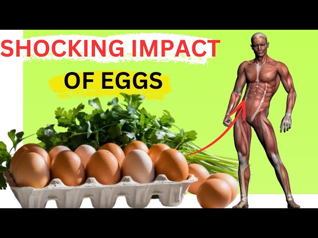 Why You Should Eat Eggs Every Day| Top 10 Health Benefits of Eating Eggs