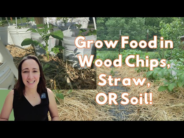 Grow Your Garden in Straw and Woodchips!