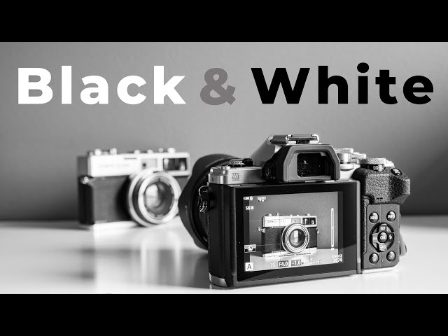 Black And White Photography - [5 things why B&W photography will make you  a BETTER photographer]