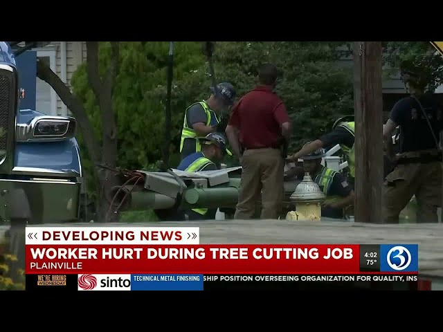 Worker of tree-cutting crew injured on the job in Plainville