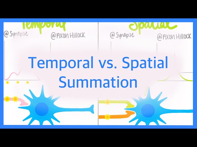 Temporal vs. Spatial Summation