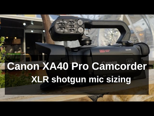 Canon XA40: XLR Shotgun Mic Sizing