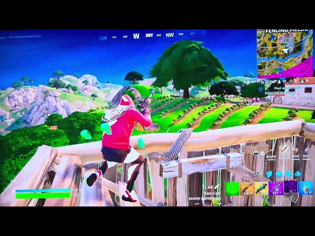 Hard game on an Nintendo switch 30 ping to 60 ping.