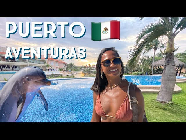 Interact with Dolphins in Puerto Aventuras 🇲🇽