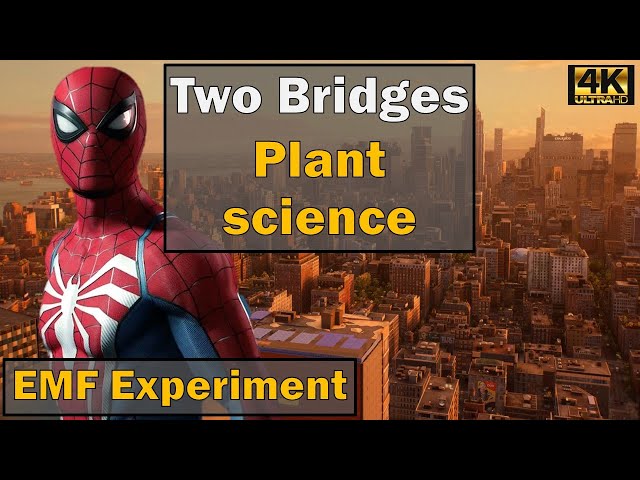 Marvel's Spider-Man 2 EMF Experiment Two Bridges: Plant Science