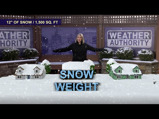 Types of snow and their weight using 3D graphics!