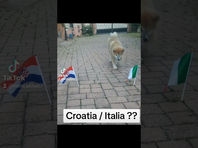 Prono euro2024: Croatie / Italie