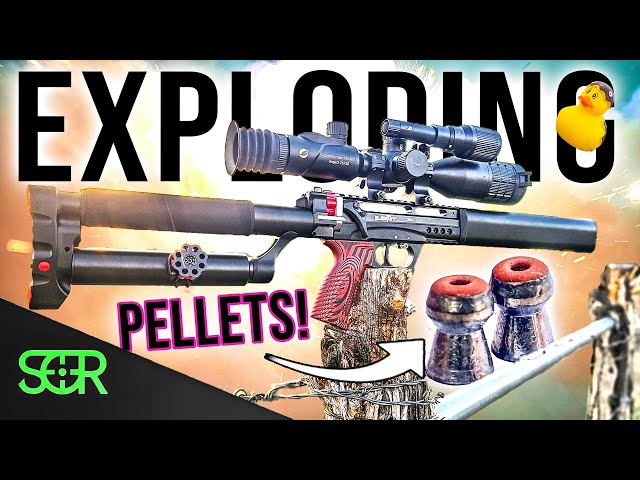 CRAZIEST Pellets I’ve EVER had - Exploding Ammo!