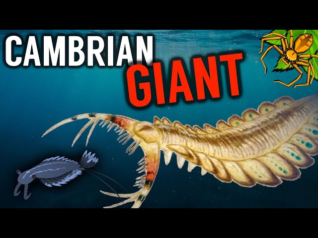 The most TERRIFYING Prehistoric Animal you've NEVER heard of | Omnidens
