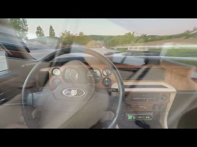 Jaguar XJ6 Driving