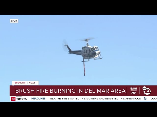 Fire experts weigh in on Del Mar brush fire