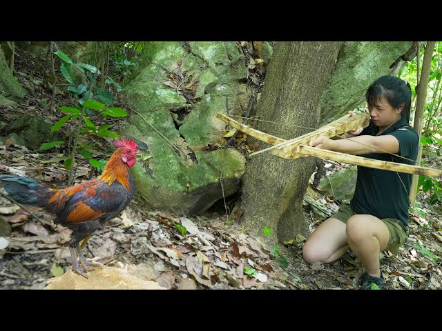 Making Wooden Crossbow - Hunting Wild Chicken/ 1 Month Solo Bushcraft & Survival, Part 3