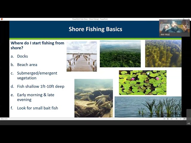 12 Shore Fishing 101: Simple Tips and Techniques