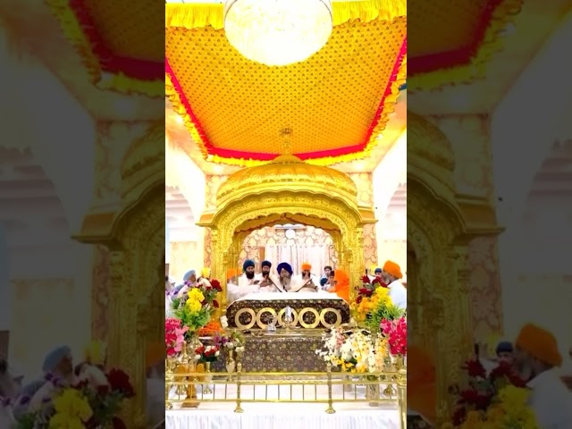 Parkash Guru Granth Sahib Ji 🙏 12/06/24 Hukamnama Gurudwara jamni sahib #gurudebaani ‎@gurudebaani 
