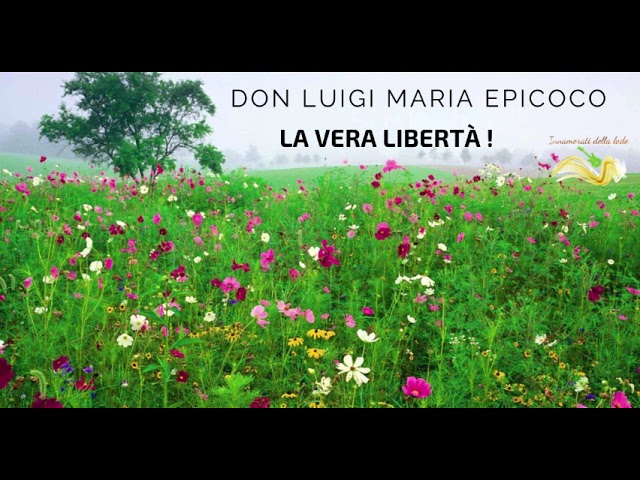 La vera libertà - Don Luigi Maria Epicoco