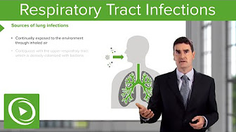 Respiratory Diseases: URTI, Bronchitis and Pneumonia | Medical Education Videos