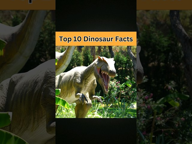Top 10 Weirdest Dinosaur Facts #shorts #dinosaurfacts #dinosaurs #shortvideo #facts