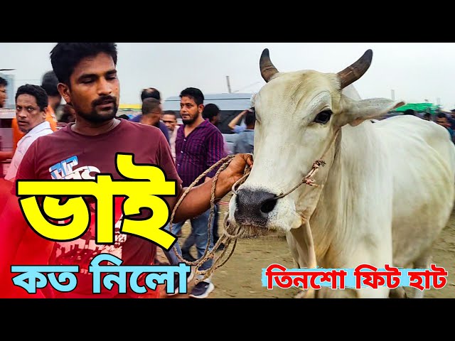 Bhai Koto Nilo 2024 | 300 feet Cattle Market | Gabtoli Gorur Haat 2024 | Gorur Haat Update p- ২