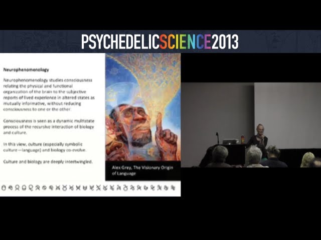 Communicating the Unspeakable: Linguistic Phenomena in the Psychedelic Sphere - Diana Reed Slattery