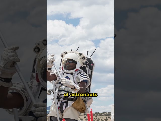 NASA Uses An ‘It’s Always Sunny in Philadelphia’ Quote to Hype Up Moon-Landers